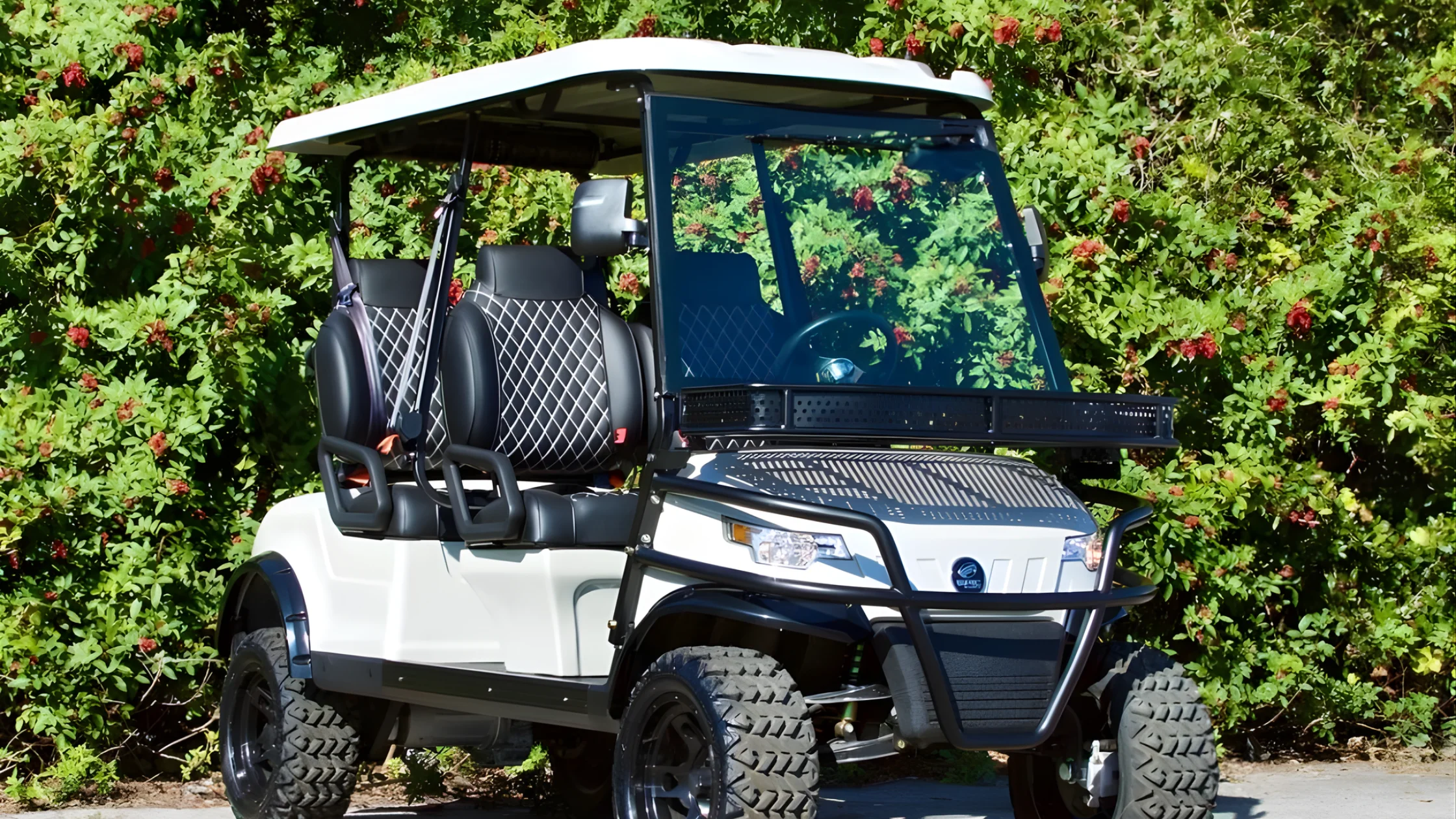 Epic Golf Cart Dealer in Tampa Bay | ICON Golf Carts