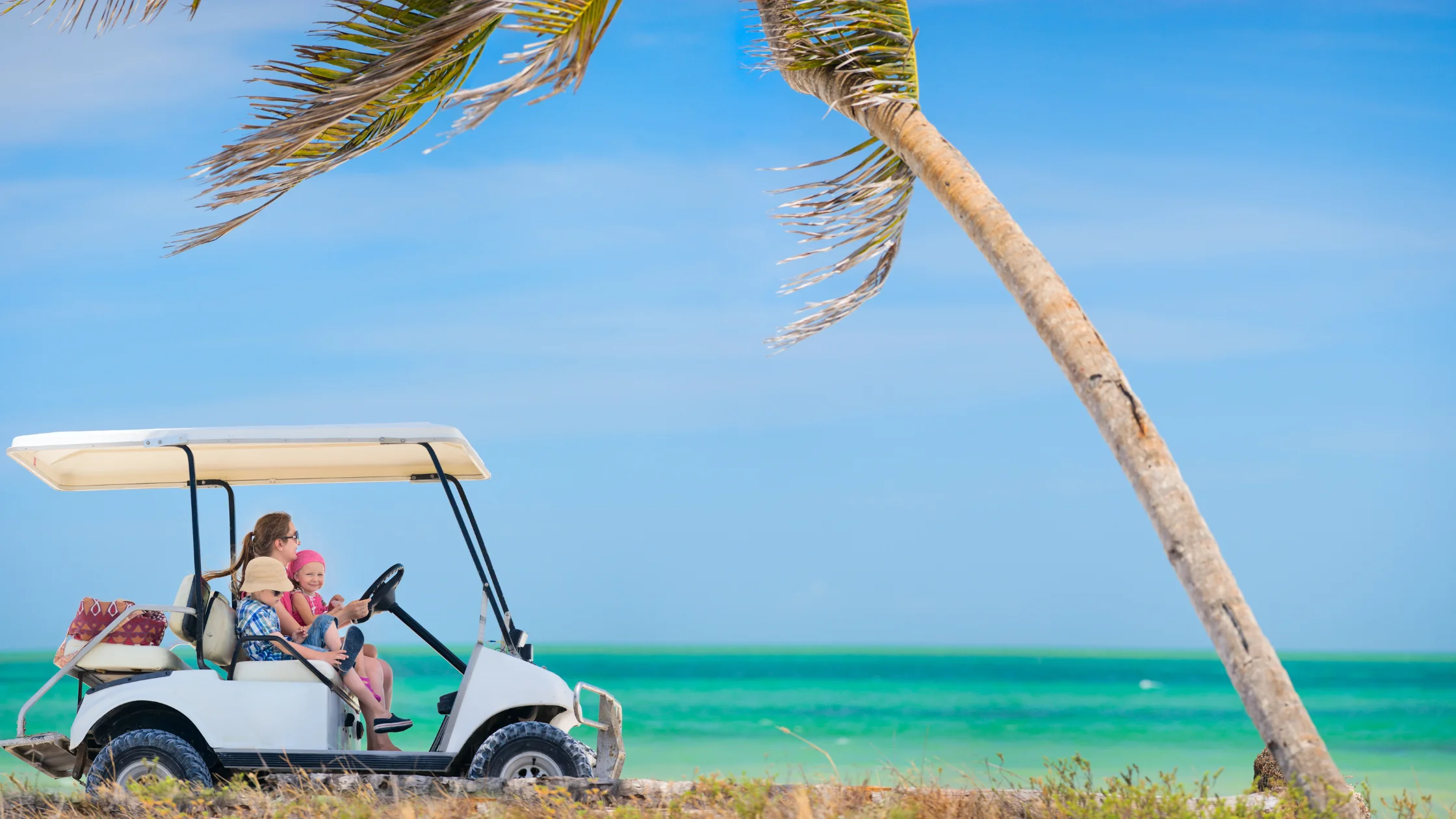 Golf Carts in Tampa Bay The Right Dealer | ICON Golf Carts