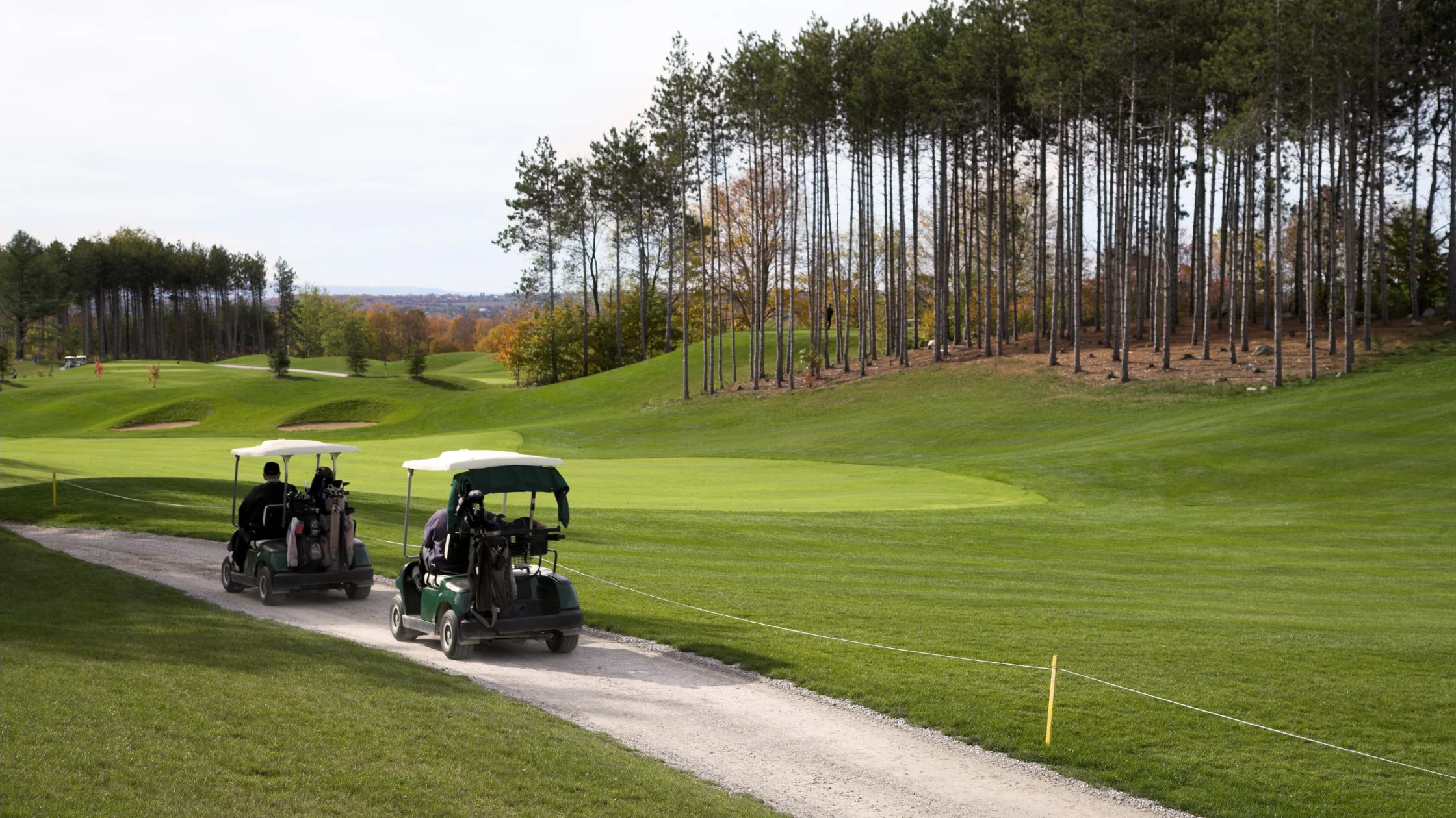 Golf Cart Upgrades For Tampa Bay Riders | ICON Golf Carts