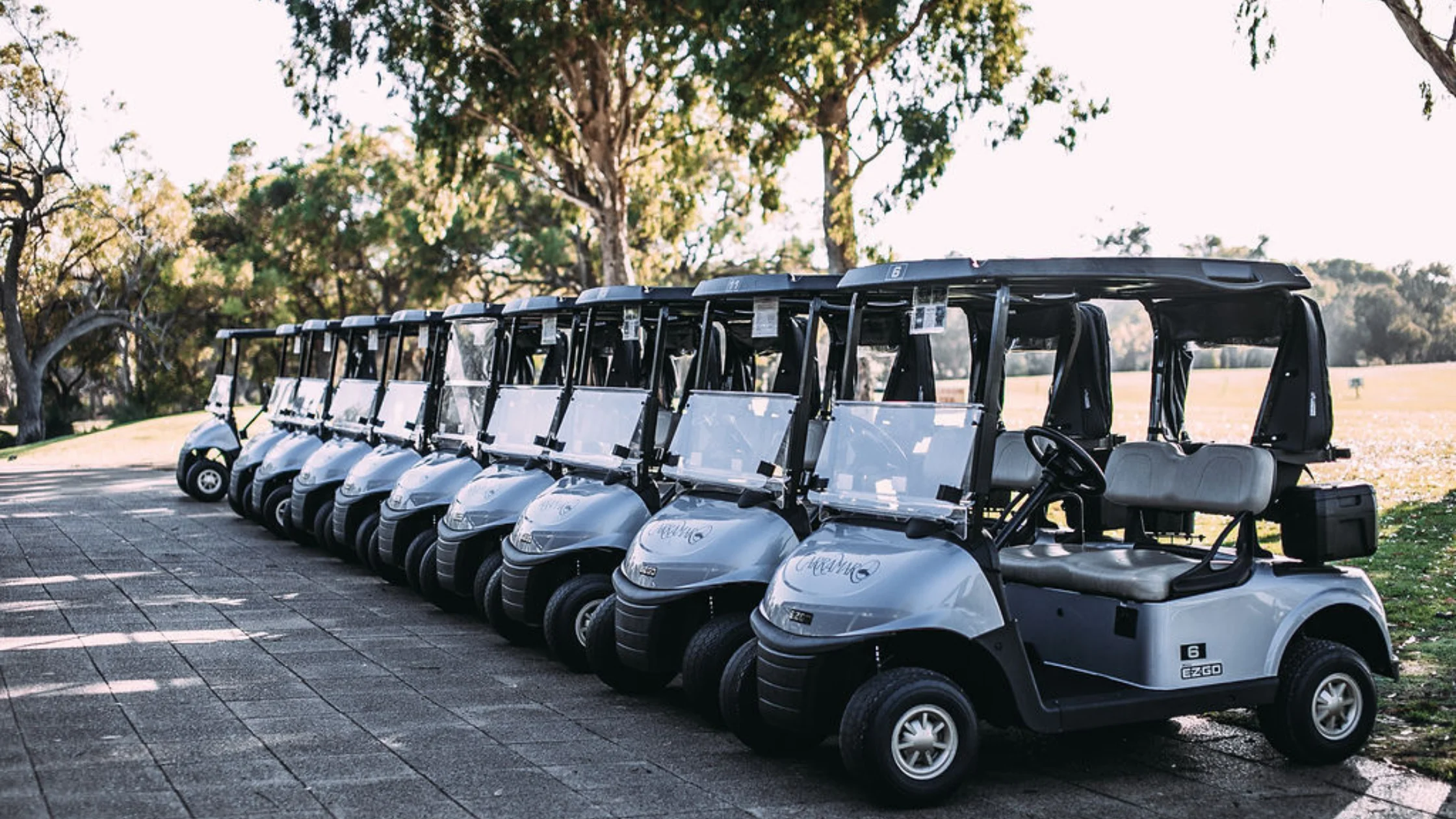 New Golf Cart in Tampa Bay in 2026 | ICON Golf Carts